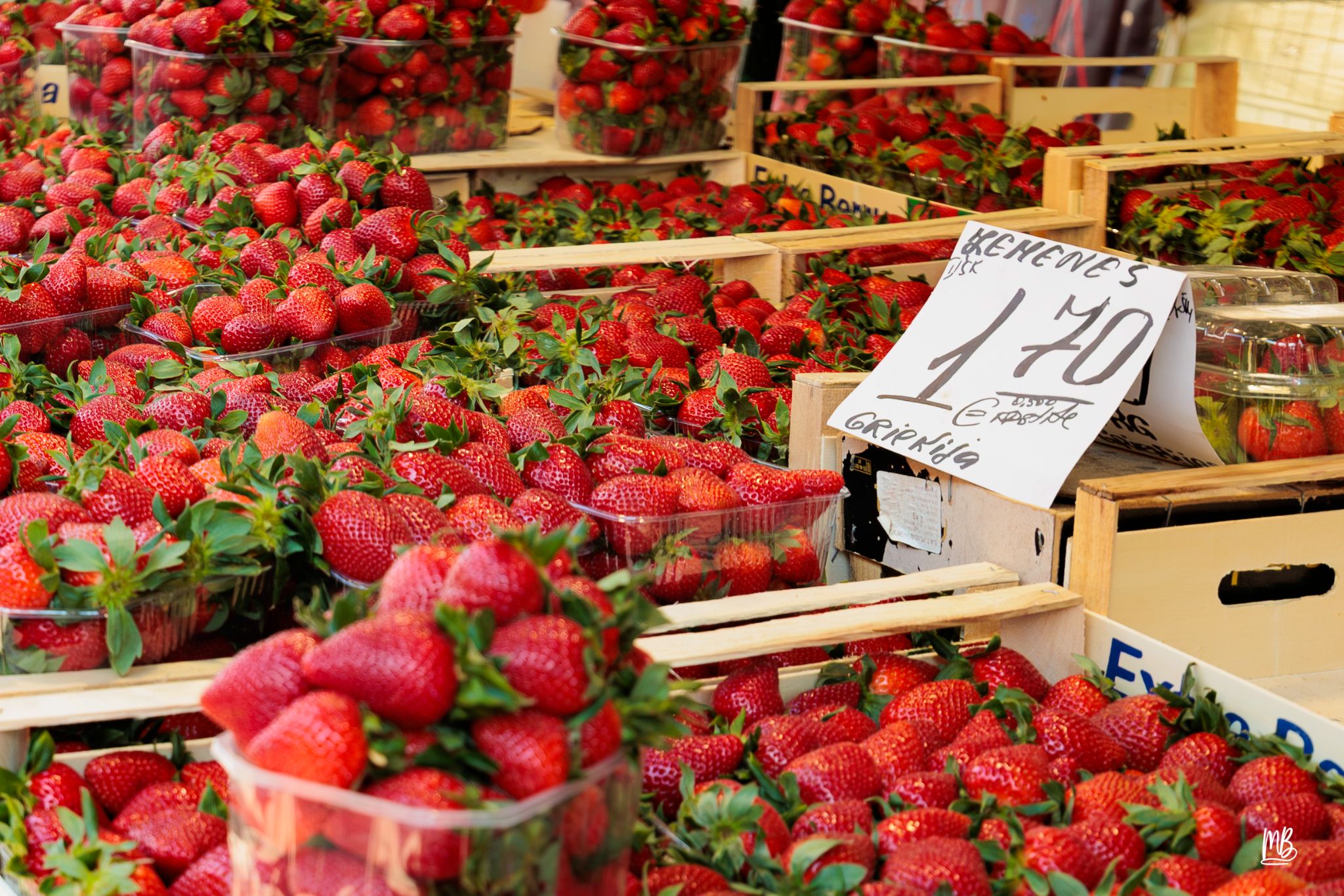 2024   Riga   MB 270